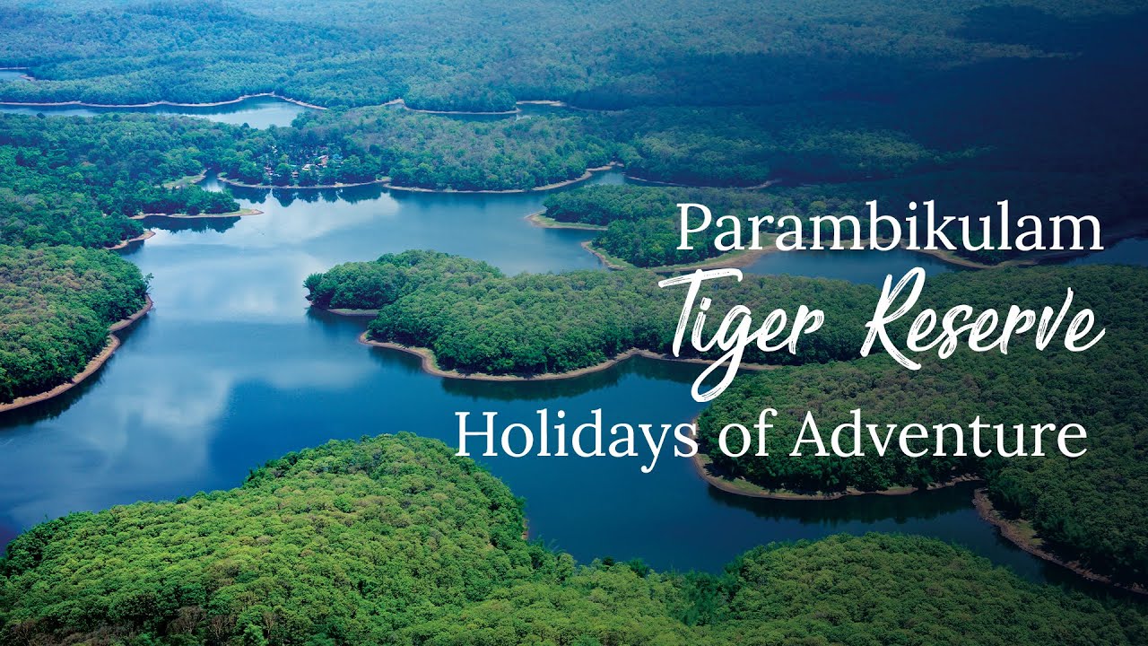 Parambikulam Tiger Reserve | #BucketListDestinations | Kerala 365 | Kerala Tourism