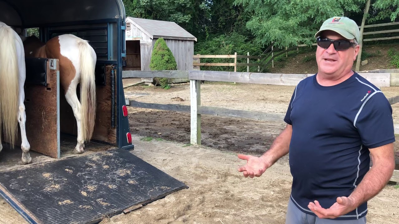 Doug and Beans Trailer Loading Horses