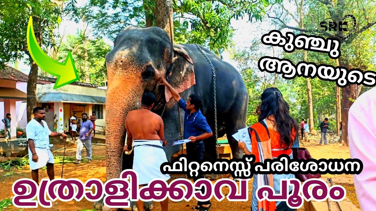 ഉത്രാളിക്കാവ് പൂരം വടക്കാഞ്ചേരി ദേശത്തിന്റെ ഉക്കൻസ് കുഞ്ചുവിന്റെ ഫിറ്റനെസ്സ് പരിശോധന 