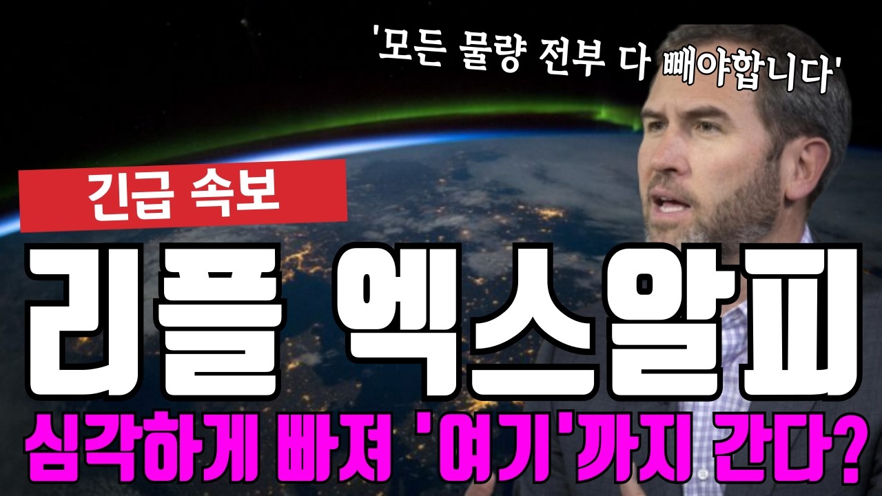 리플 엑스알피 정말 큰 일 났습니다