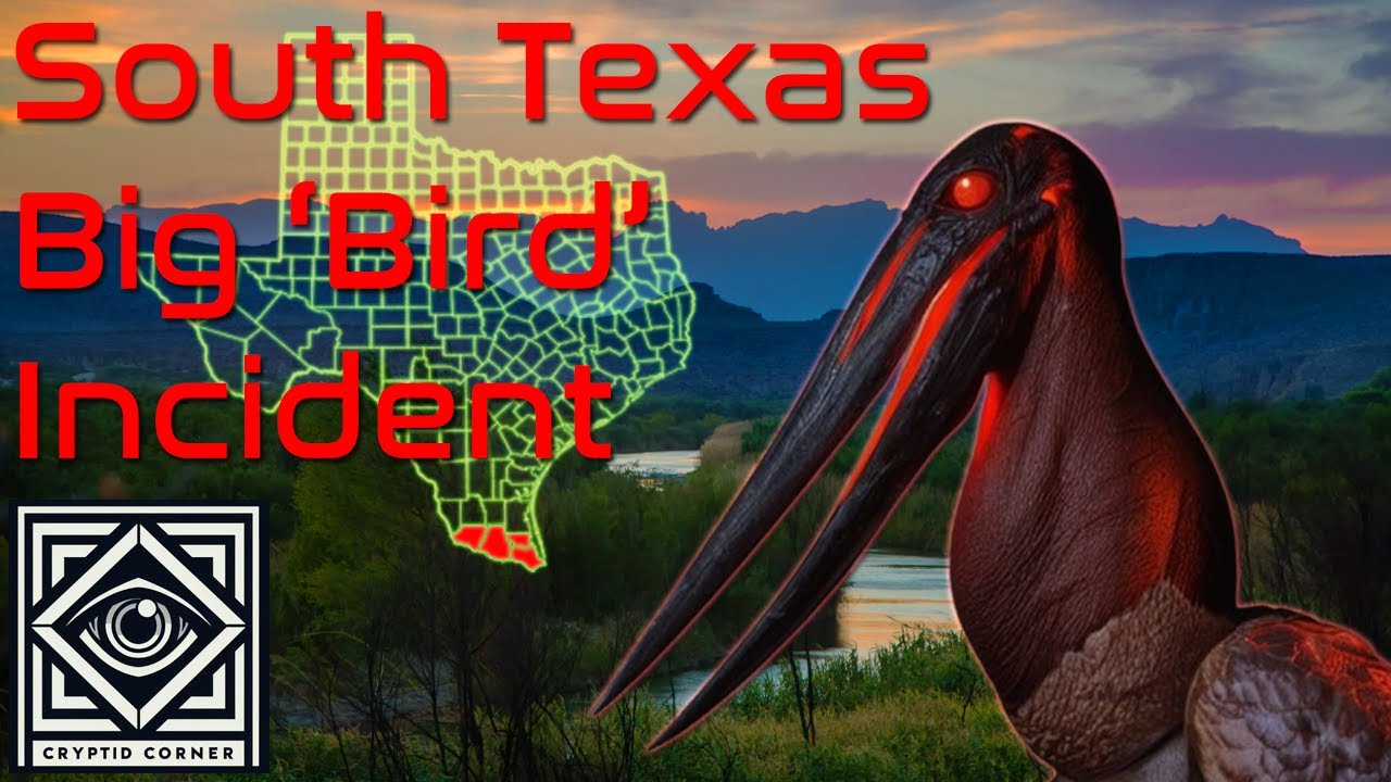The Rio Grande Valley Big Bird Incident