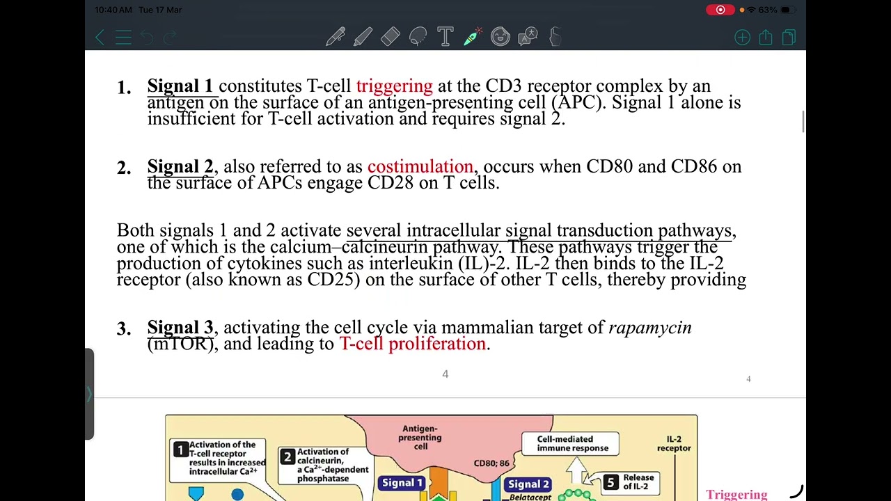 HLS: Pharmacology 4