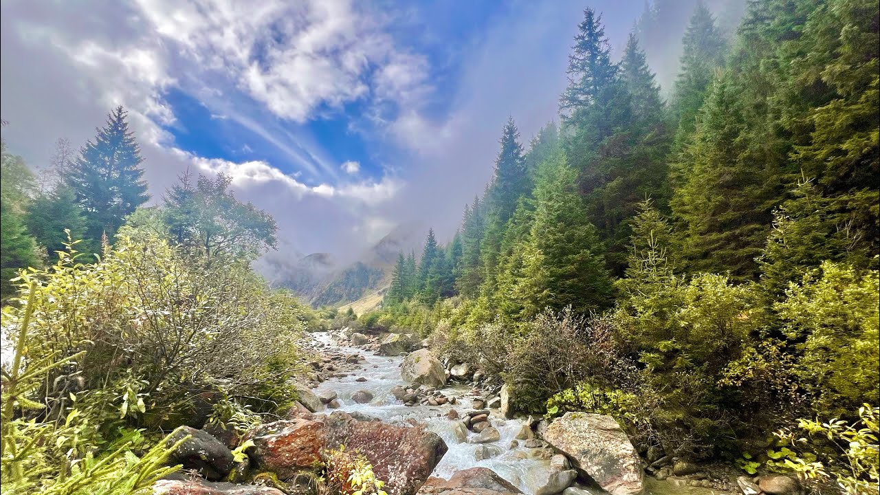 The Langental in Autumn Mist