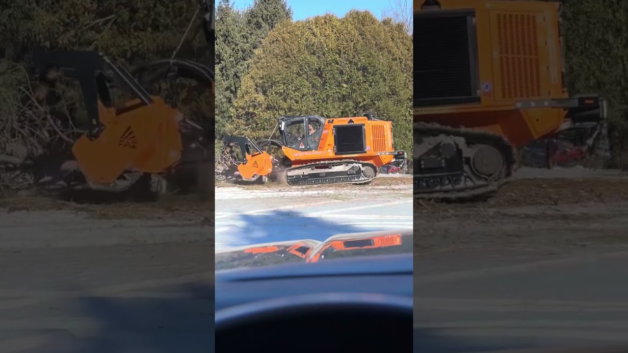 FAE Primetech PT-550 largest FAE mulcher clears out the pines 🌲🤘