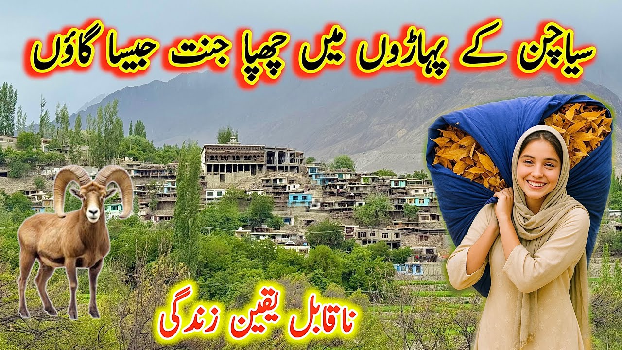 Hidden Heaven in Siachen Mountains – The Untold Beauty of Machulo Valley 🇵🇰