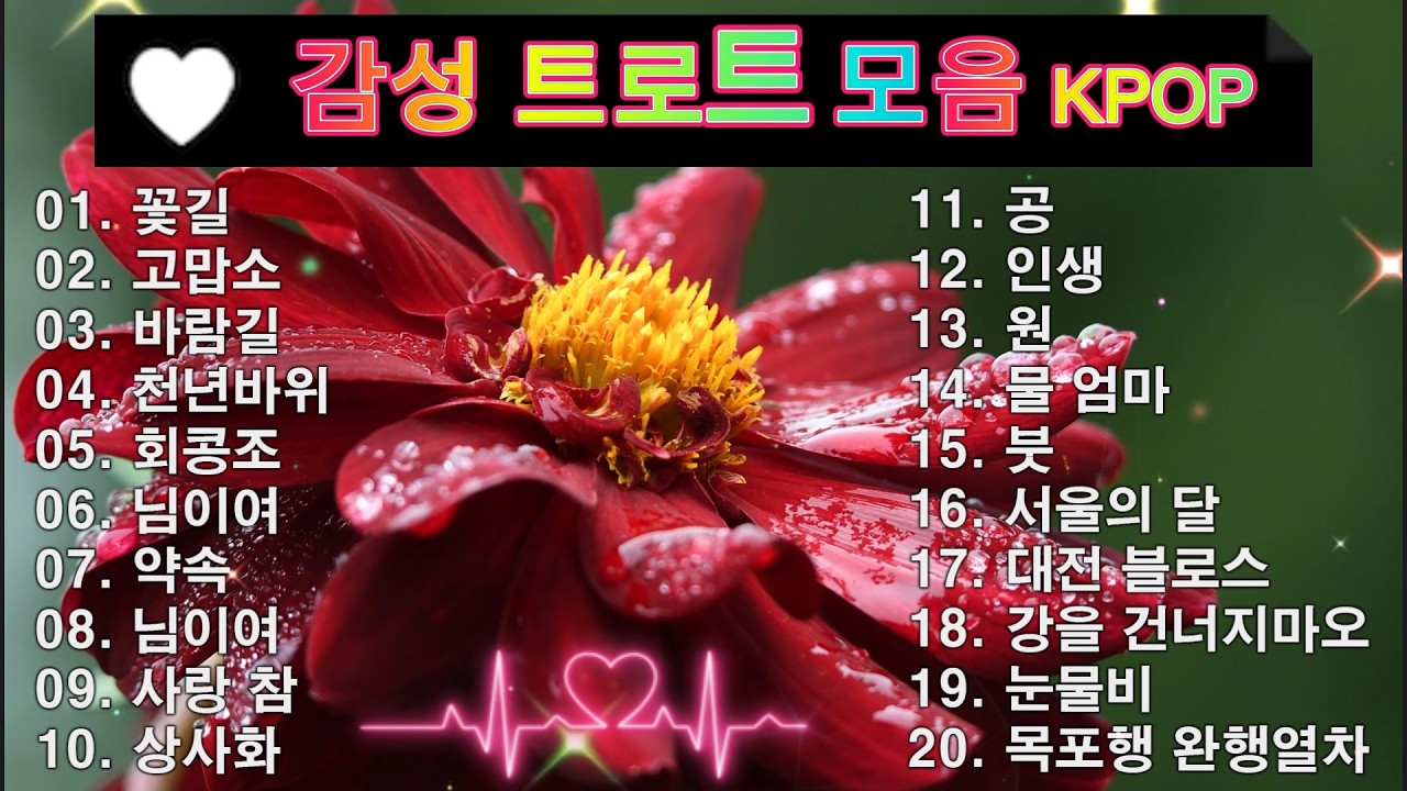감성 트로트 모음 KPOP (TROT) PLAYLIST 💸 ( 꽃길.상사화.여인의 눈물.회룡포.바람길...) #Kpop