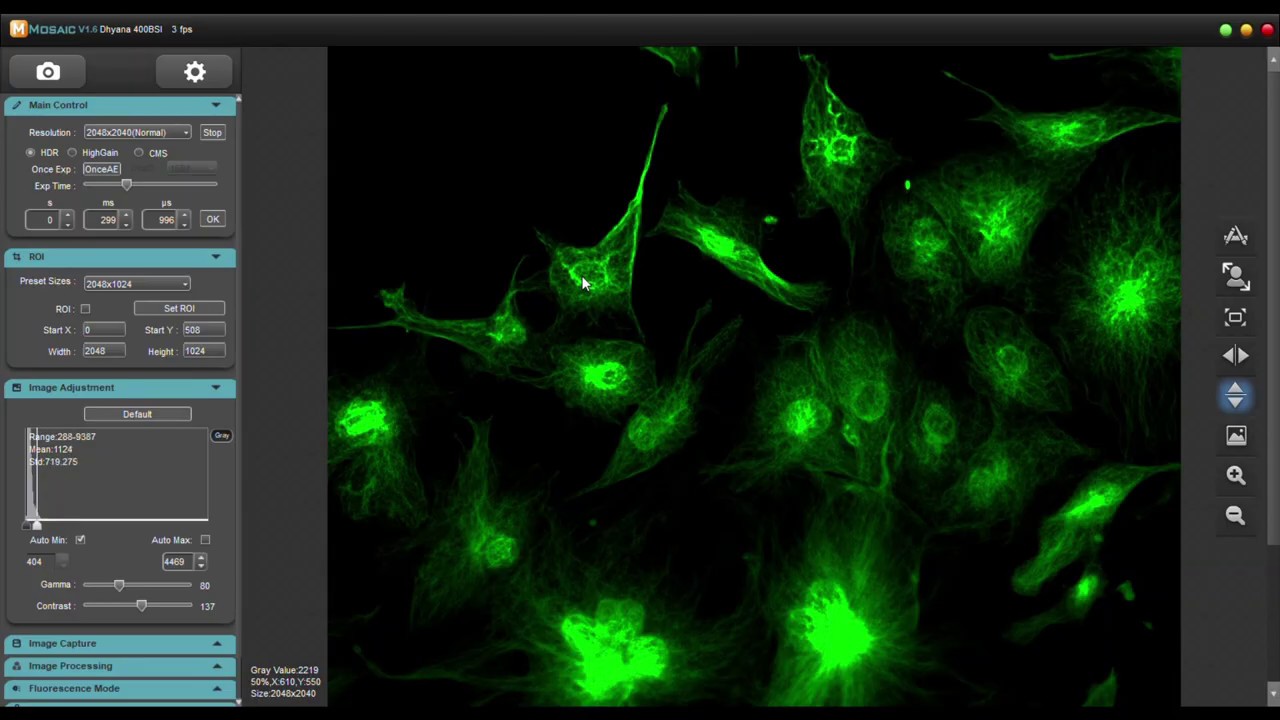 Refurbished Olympus BX61 motorized upright fluorescence microscope with Tucsen Dhyana 400bsi camera
