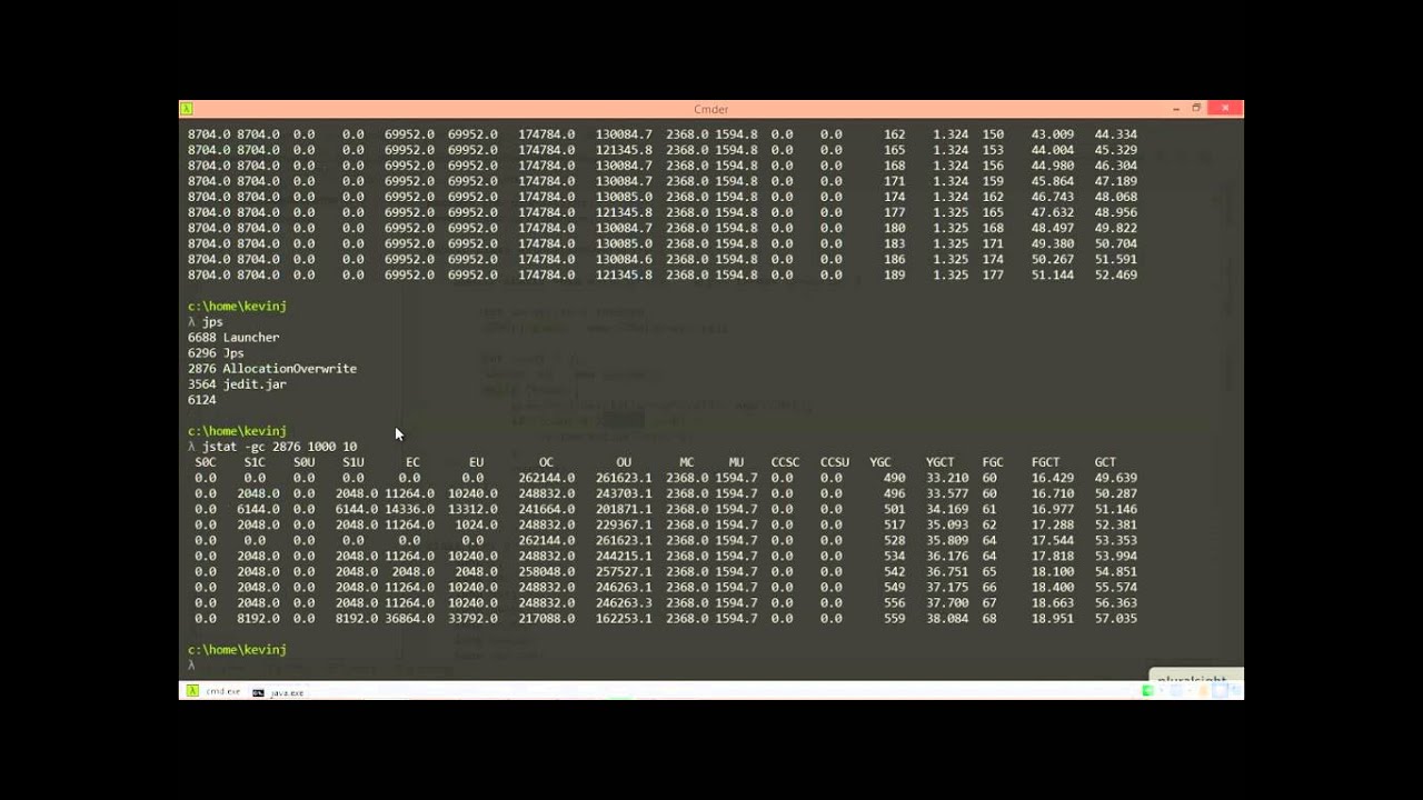 03 04 Using jstat to Examine the Garbage Collector