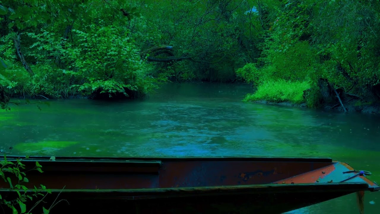 3 Hours of Rain Over the River 🌧️ | Relaxing Nature Sounds | ASMR for Sleep.