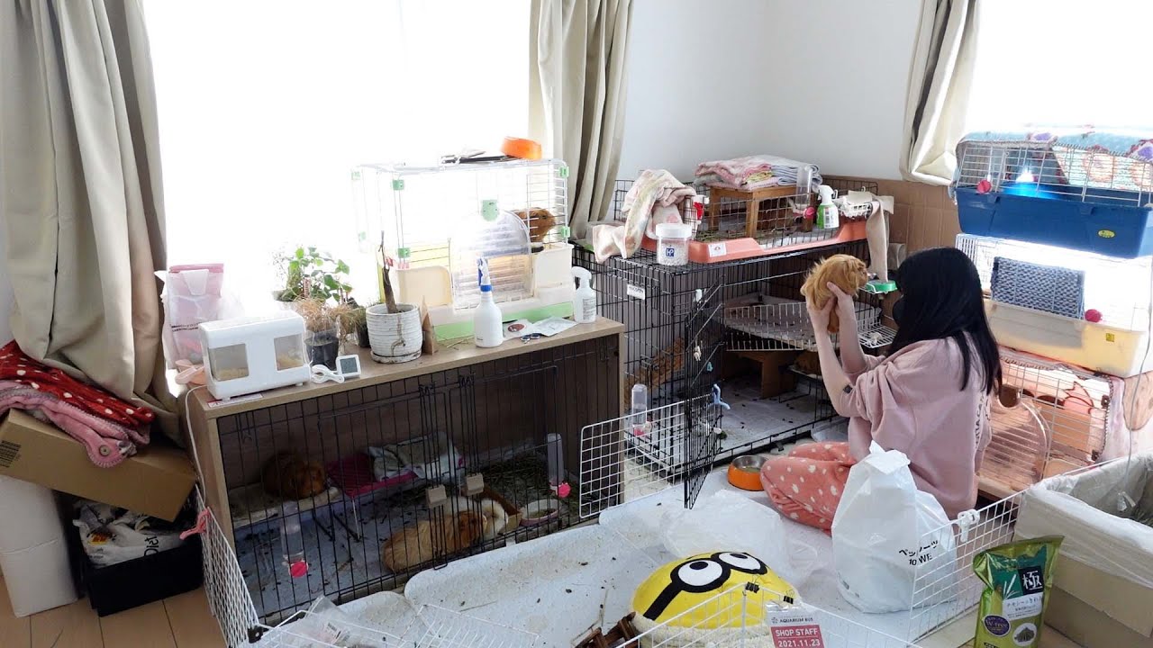 モーニングルーティーンしながらお知らせがあります