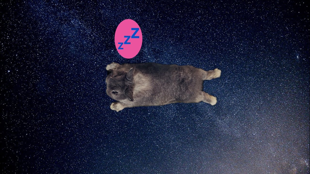 2026/1/18 MARU CHANNEL〜まるちゃんねる〜 がライブ配信中！