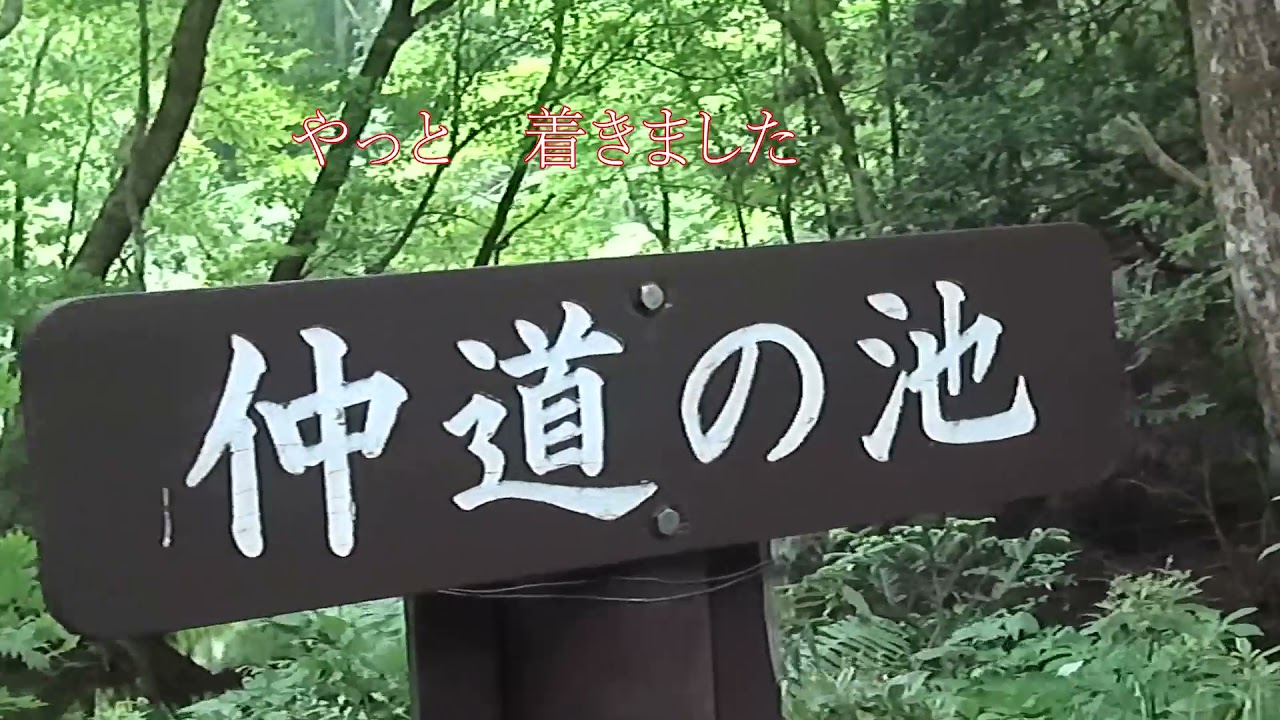 アカショウビン遠征初日5月29日