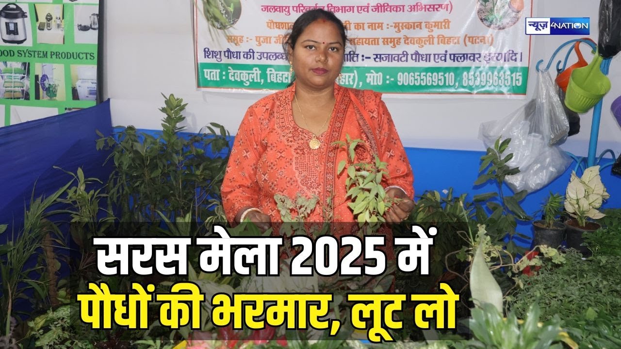 CM Nitish की जीतने के बाद Jeevika Didi की फौज पहुंची Patna, Saras Mela में पौधों का लगाया स्टॉल ।