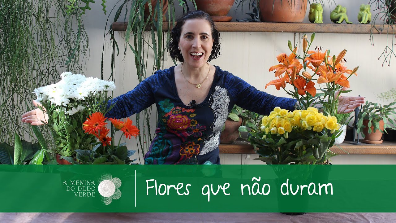 Flores que Não Duram