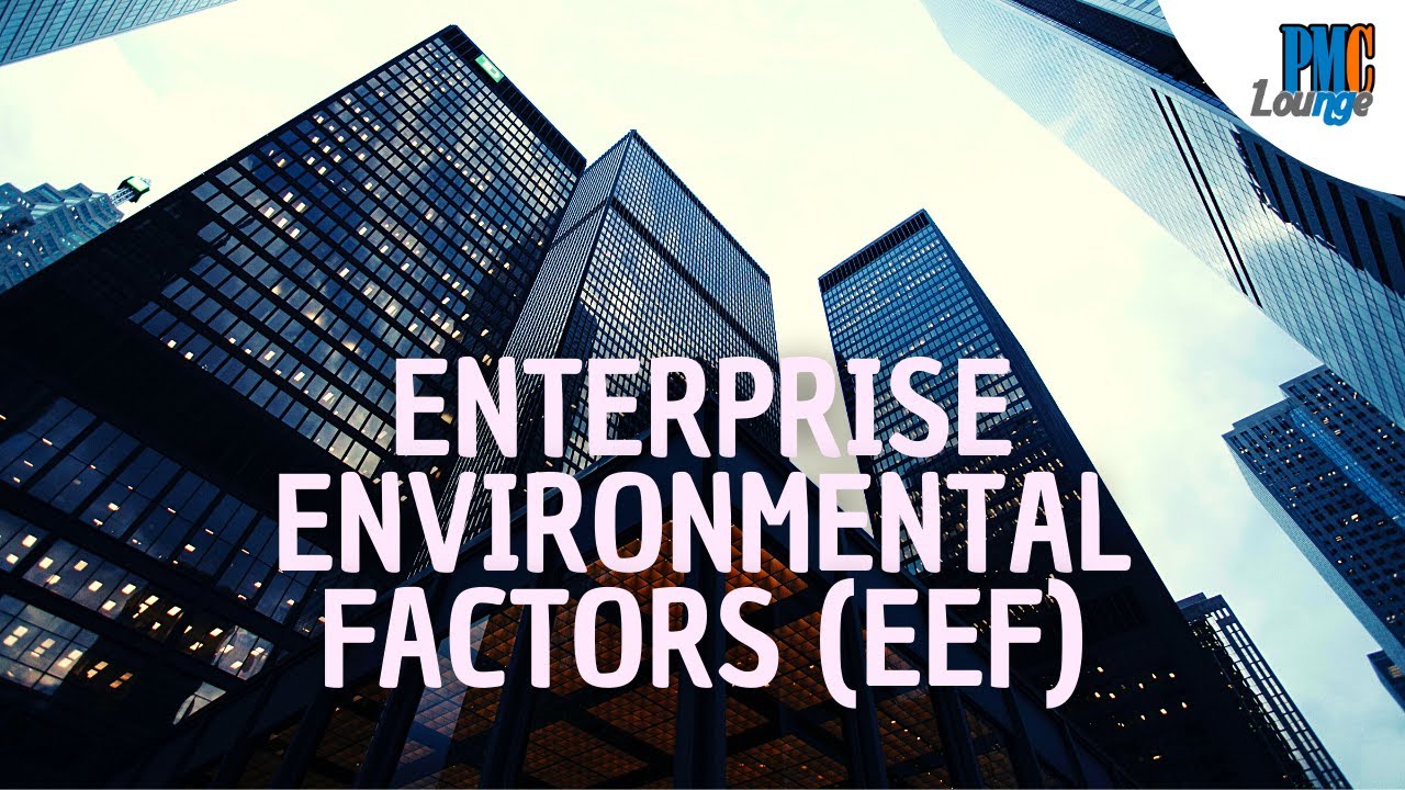 Enterprise Environmental Factors (EEF)