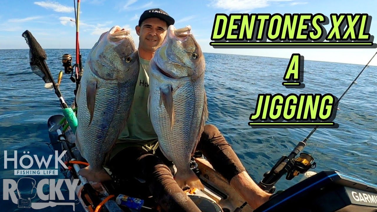 🔥🔥 DENTONES GIGANTES A JIGGING 🔥🔥 Pareja de Dentones XXL con [ HöwK Rocky Glitter Pink ]. 