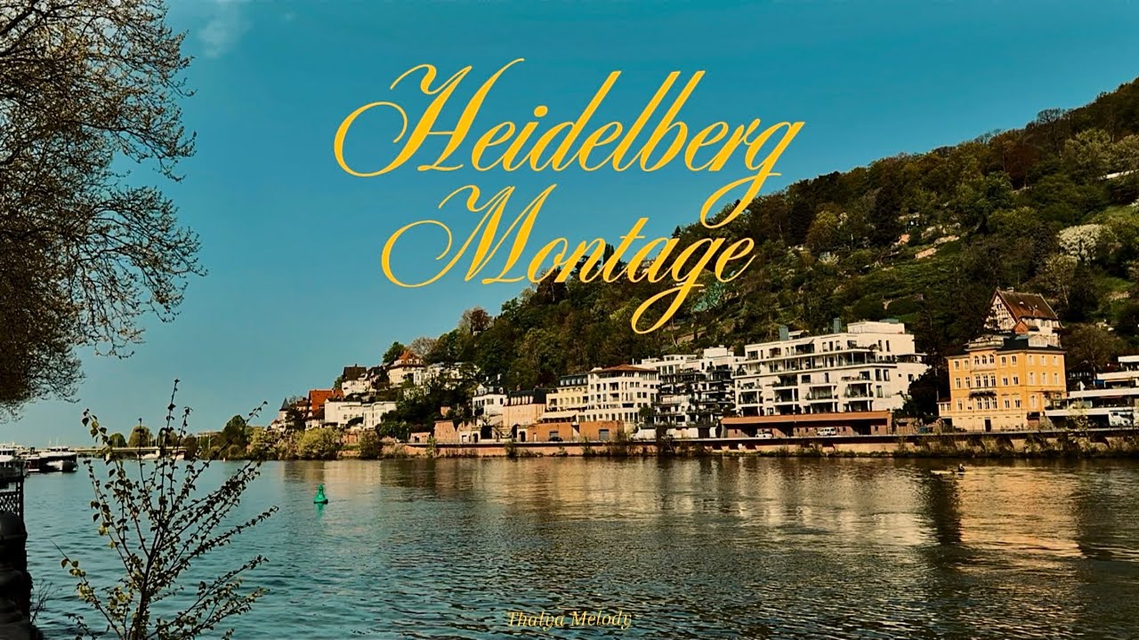 a day in Heidelberg | 2024 | Montage