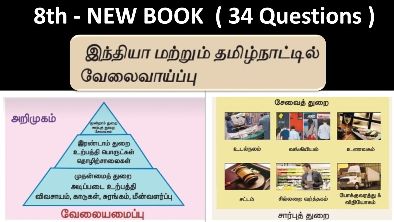 இந்தியா மற்றும் தமிழ்நாட்டில் வேலைவாய்ப்பு | 9th new book - Term - 1 | 34 Questions