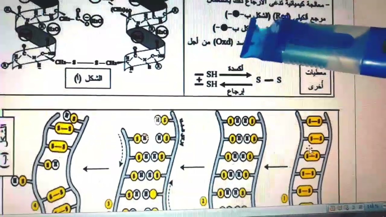 حل تمرين 11العلاقة بين بنية ووظيفة البروتين #bac #