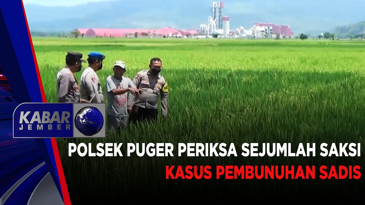 POLSEK PUGER PERIKSA SEJUMLAH SAKSI KASUS PEMBUNUHAN SADIS | KABAR JEMBER