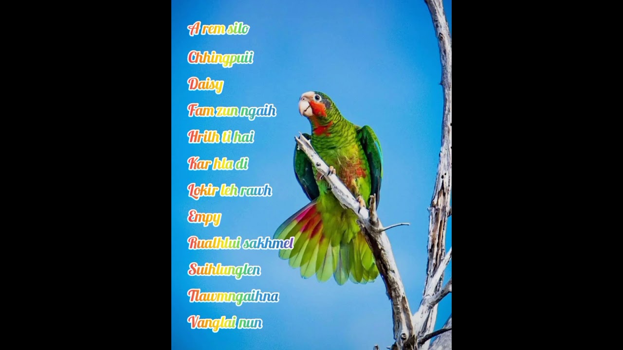 Lallungmuana hlate