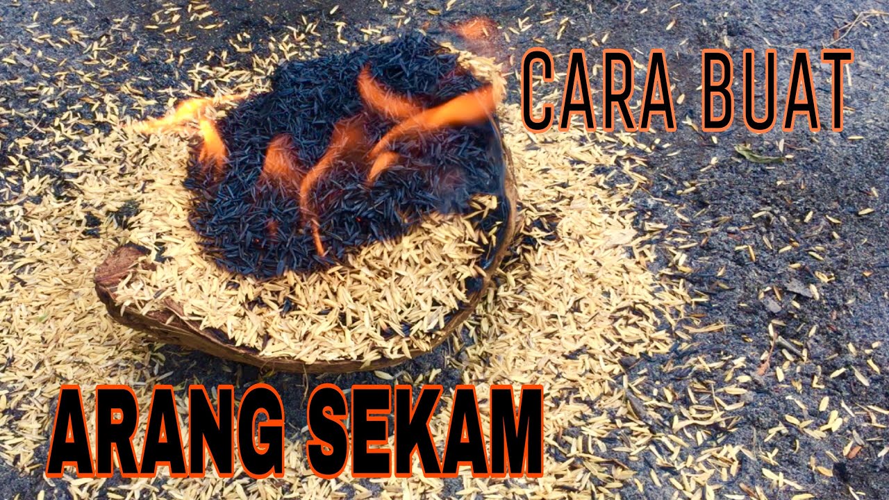 Membuat arang sekam bakar dengan mudah