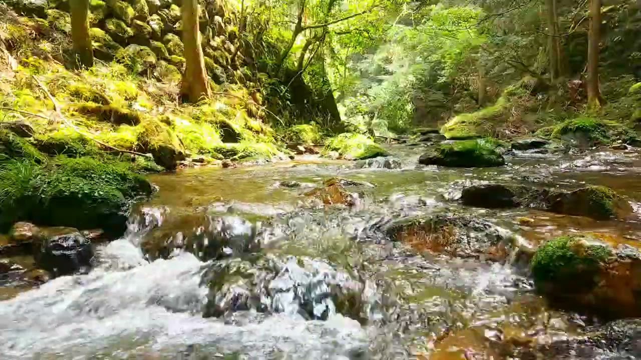 3 minute comfort riversound #riversound #naturesounds #relaxingsounds