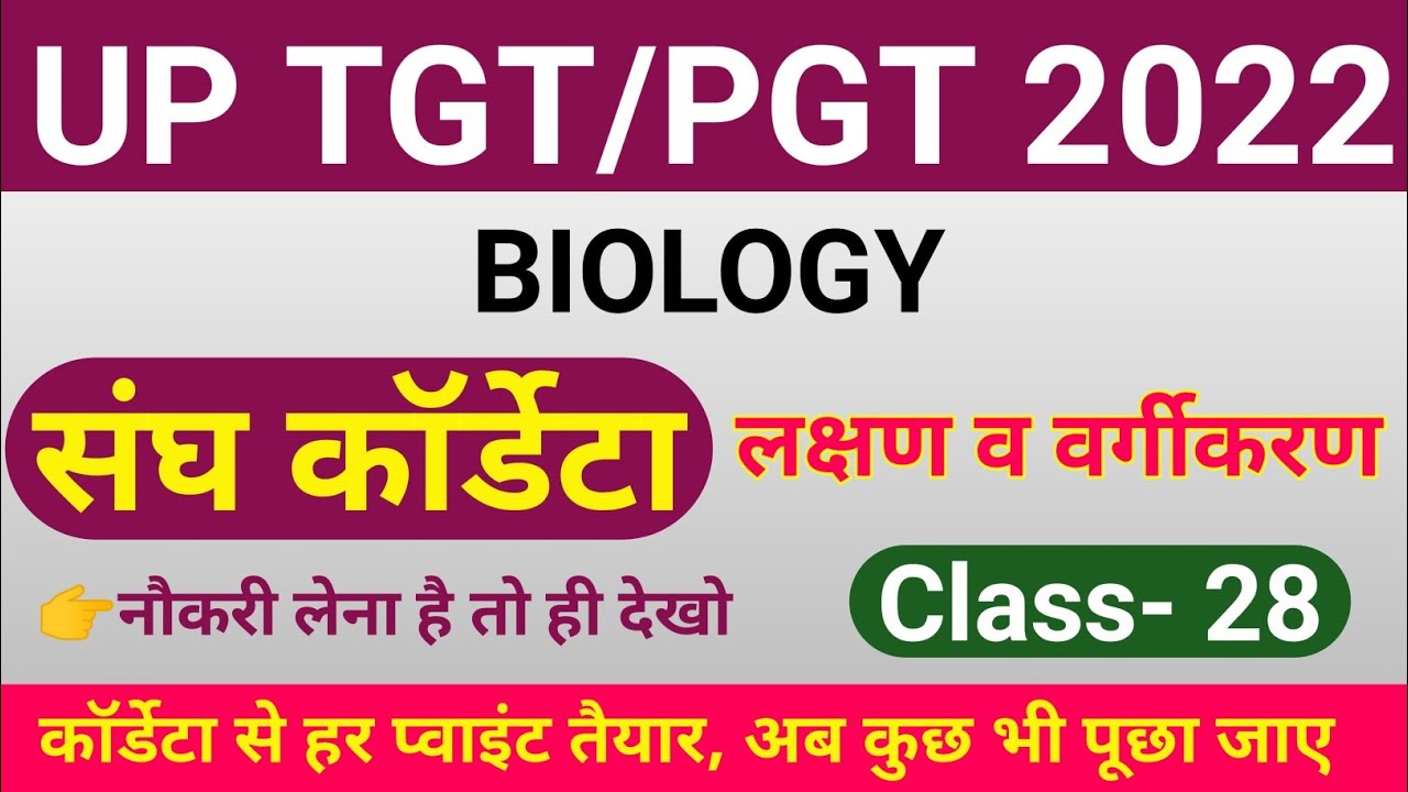 TGT/PGT BIOLOGY 2022 | CLASS- 28 | tgt pgt biology classes | tgt pgt biology online classes chordata
