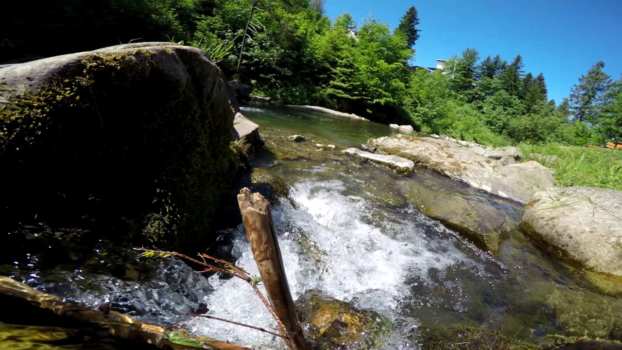 Żabnica