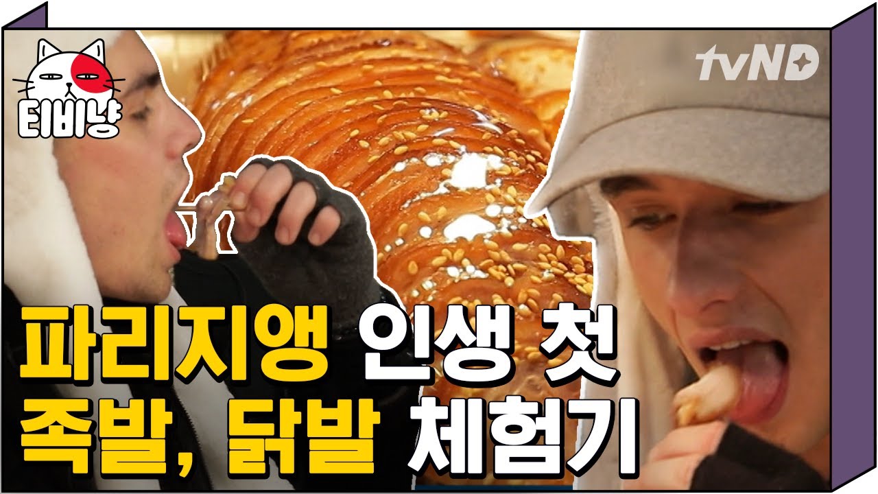 [티비냥] 생애 첫 한식으로 족발, 닭발, 홍어에 도전한 프랑스 인들의 솔직한 반응!?! | #서울메이트2 190211 #05