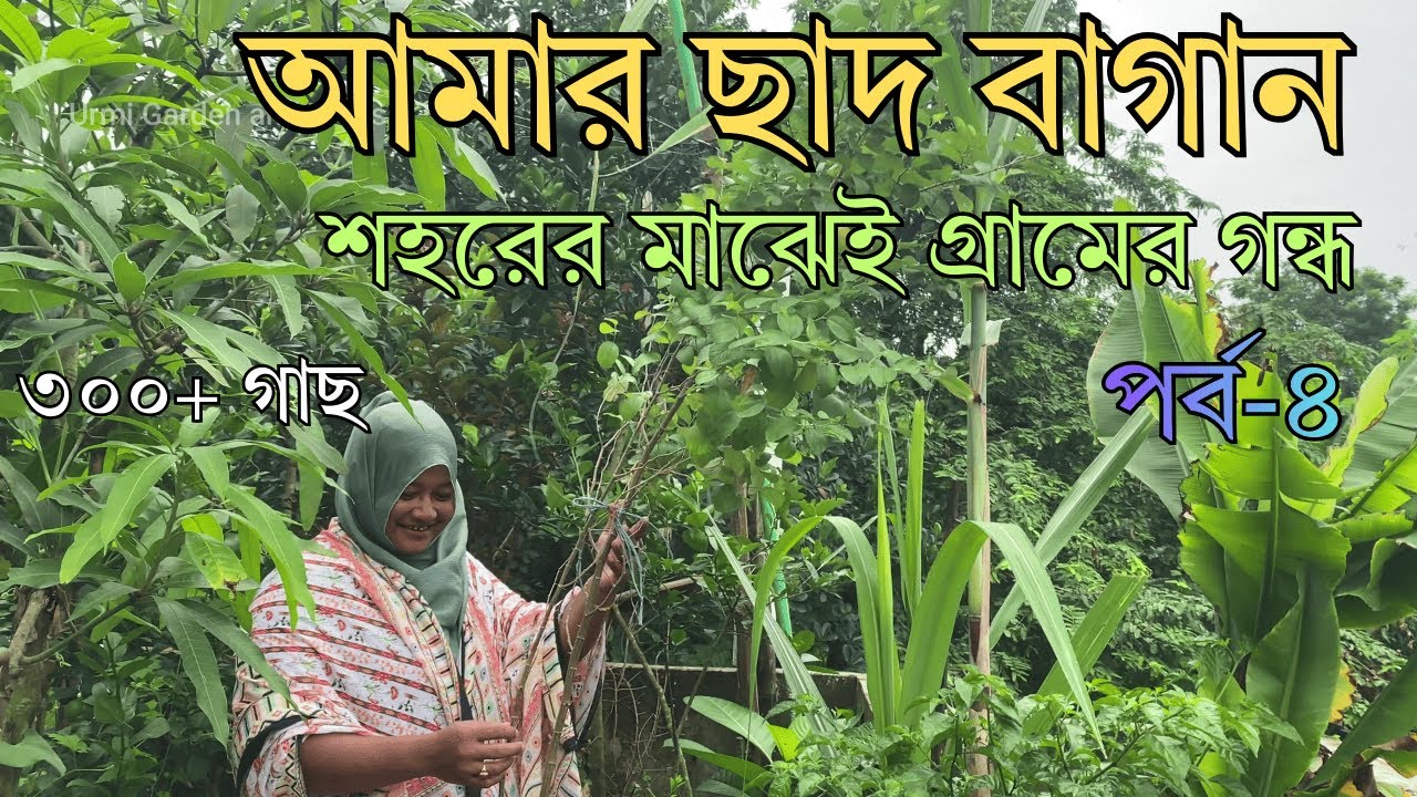 আমার ছাদ বাগান  পর্ব- ৪ | ৩০০ গাছের স্বর্গভূমি | Roof Garden Tour Bangladesh