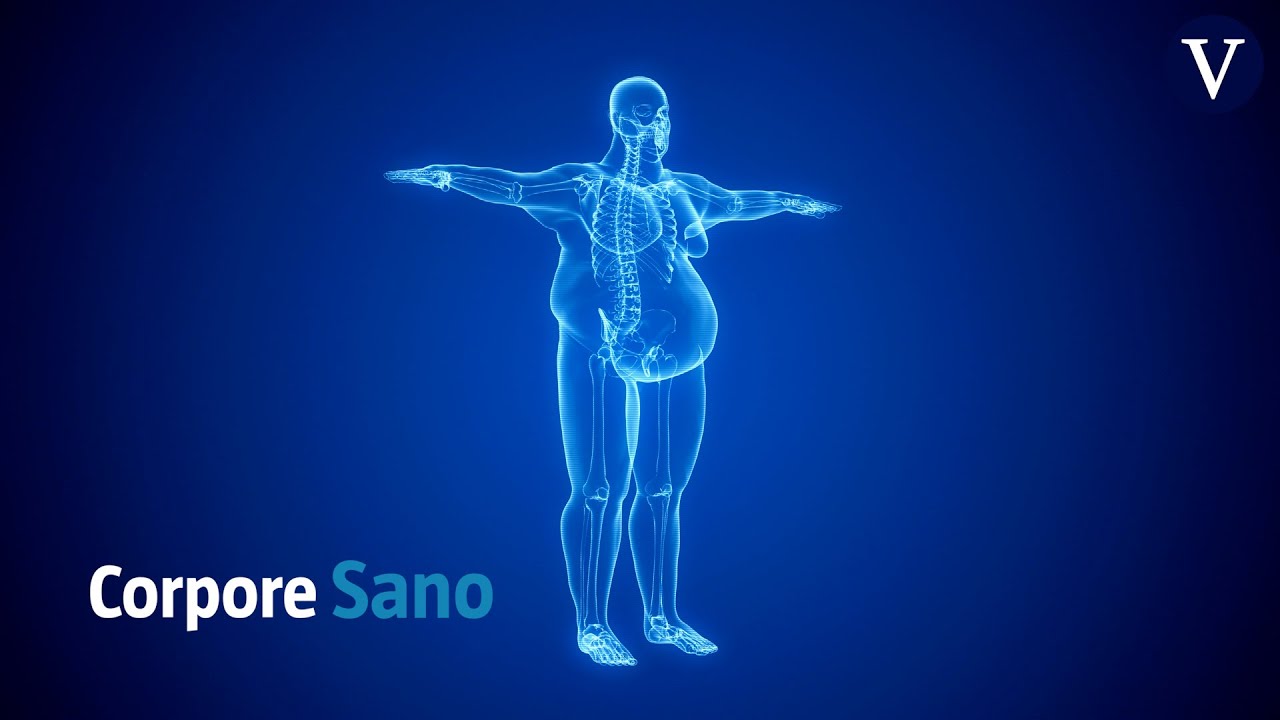 Qué grados de obesidad existen según el IMC | Dr. Jorge Planas