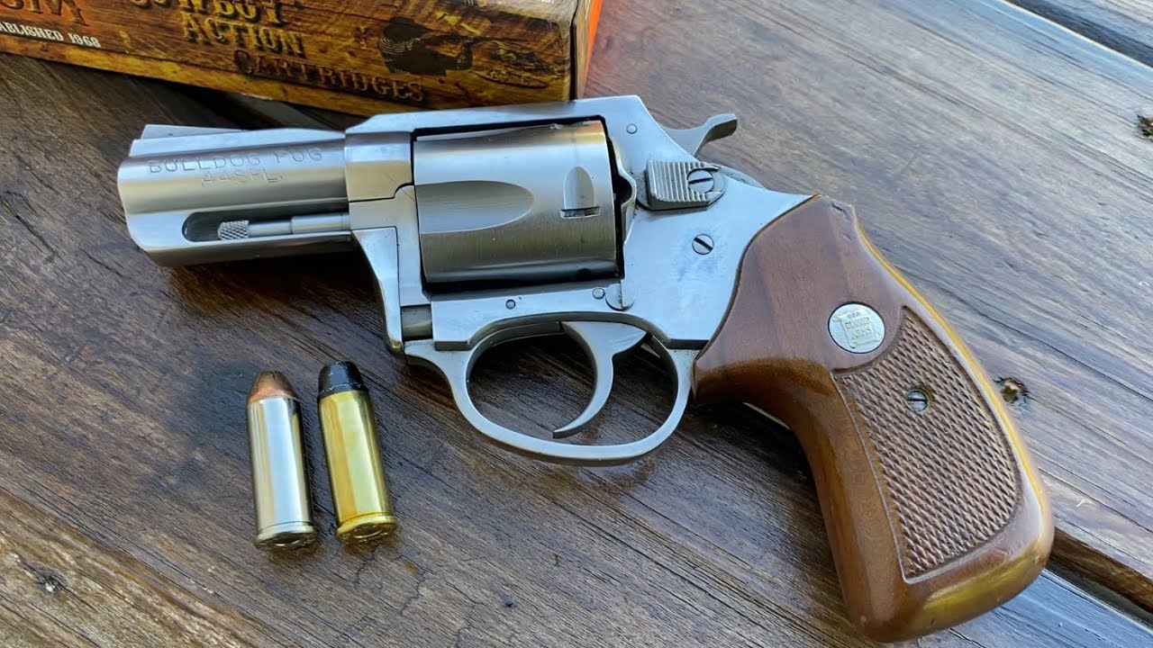 Bulldog .44 Special and a PSA