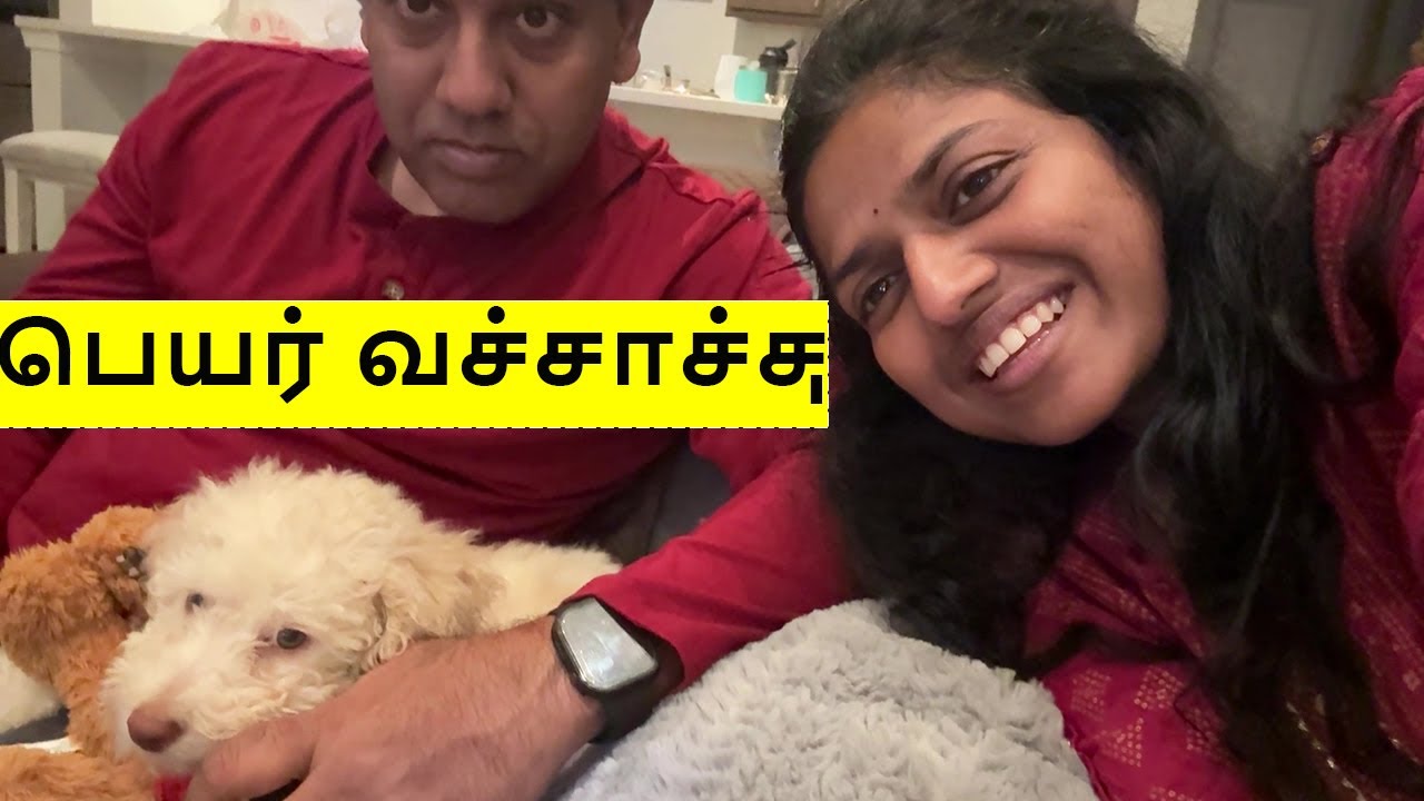 Announcing our PUPPY name!! All about our little one !! Breed? Price? Family Traveler USA Tamil VLOG