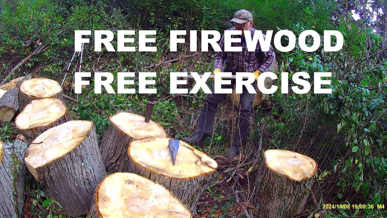 Free Firewood with Free Exercise