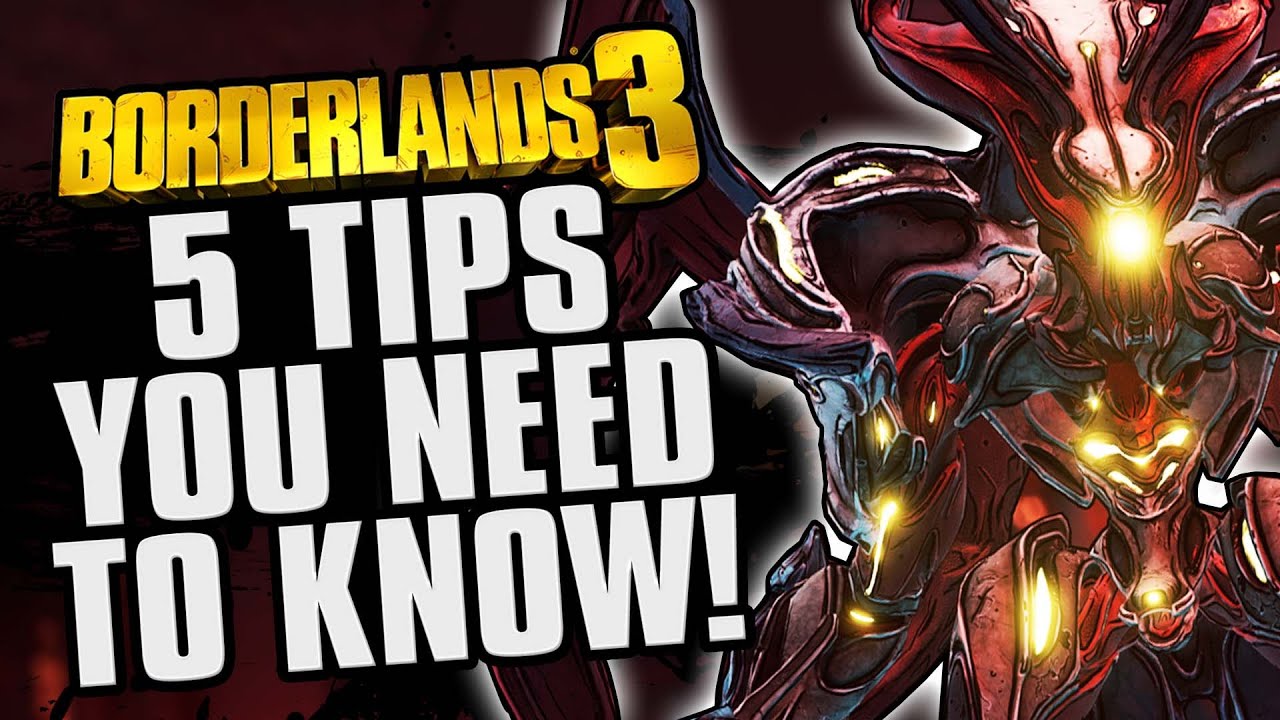 5 MUST KNOW Tips for the Guardian Takedown! - Borderlands 3