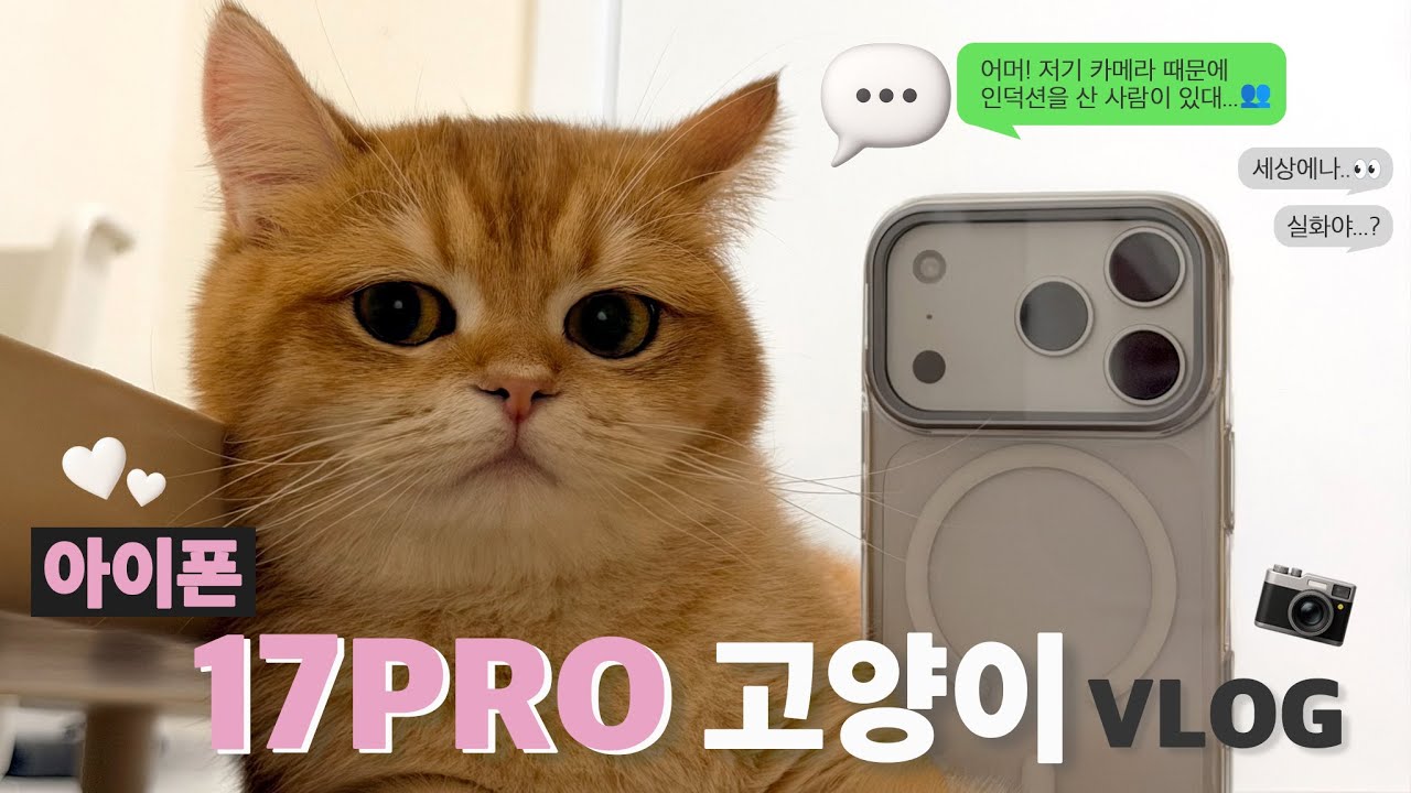 아이폰 17 Pro로 찍은 고양이 브이로그 | 화질 비교·야간·듀얼 모드 후기