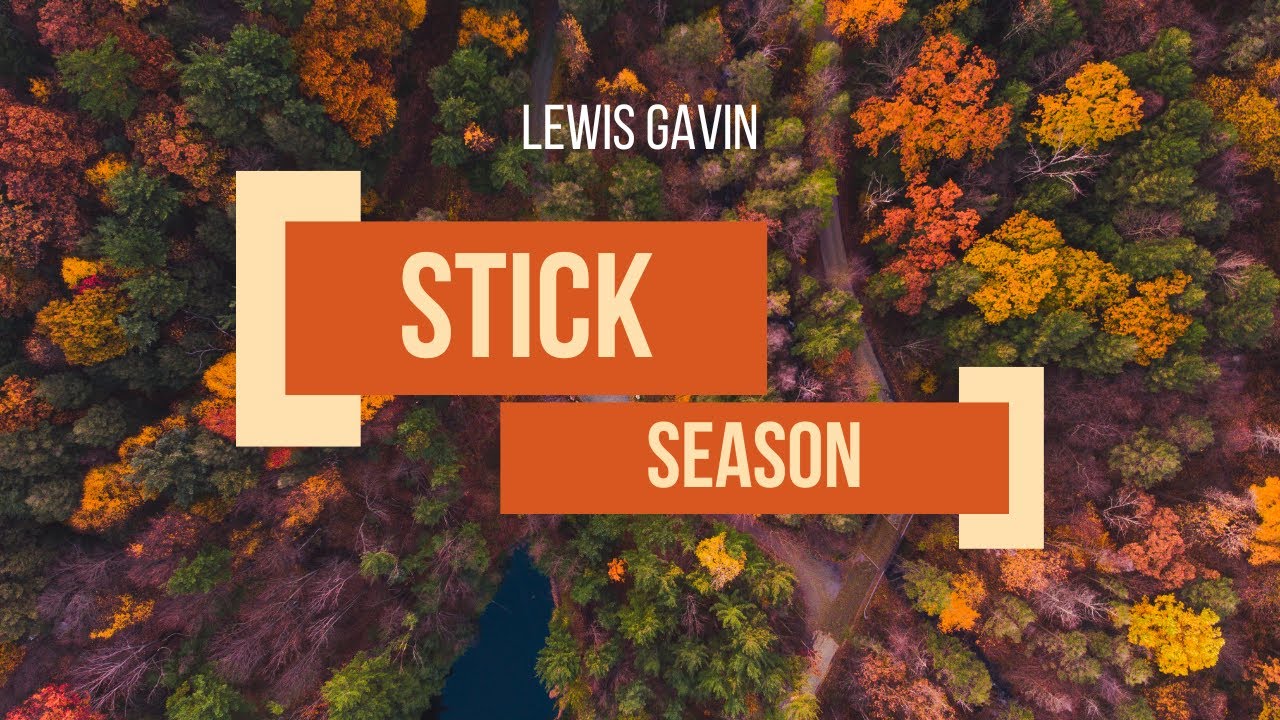 Stick Season - Lewis Gavin (Cover)
