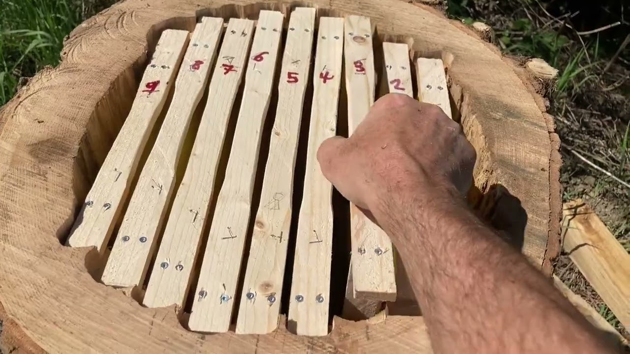 Einraumbeute / Klotzbeute / Schilfbeute / Allroundbeute