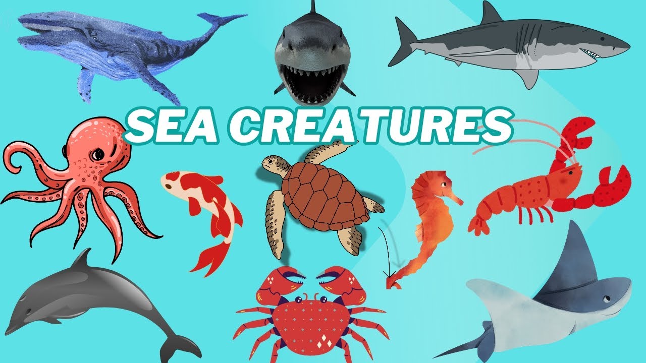 Kritul Learns Sea Creatures 🌊🐋 | Sea Animals Names for Kids | Fun With Kritul