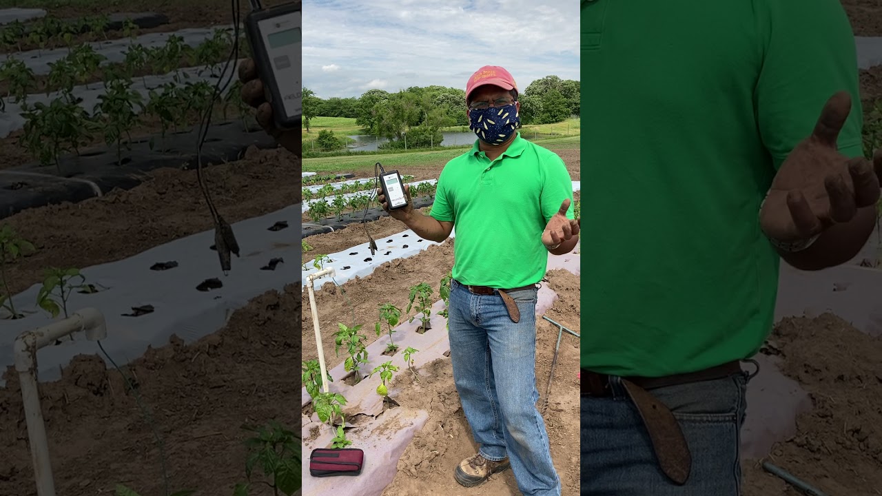 Reading and interpreting soil moisture data