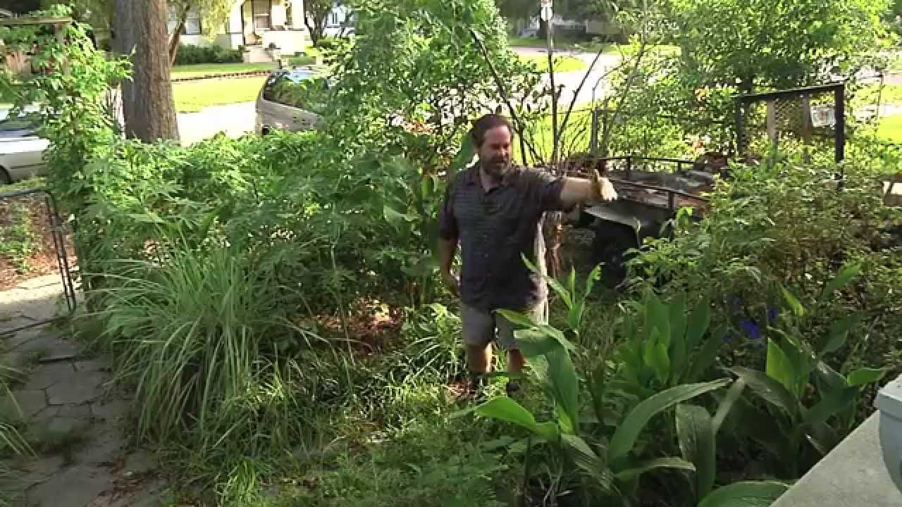 Permaculture Paradise:  Alex Ojeda's Permaculture Update!