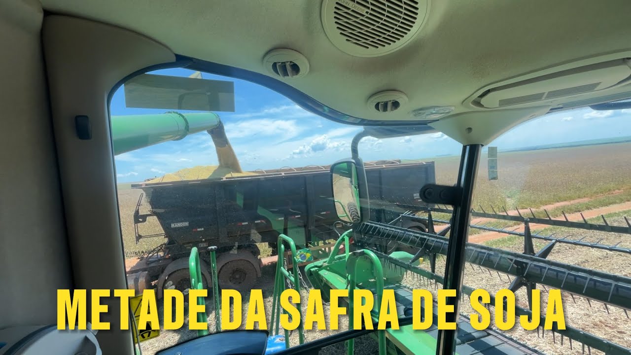 CHEGAMOS NA METADE DA SAFRA | COLHEITA DE SOJA 