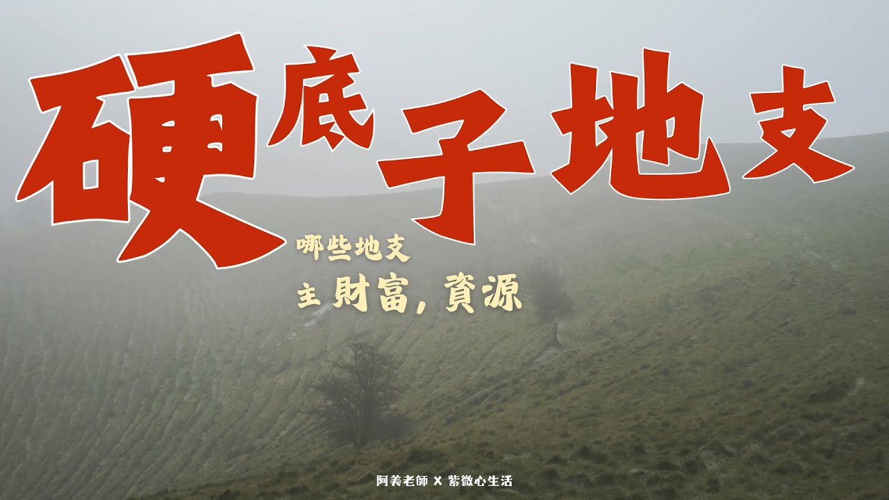 辰戌丑未：紫微斗數最強財庫位！這些地支如何累積資源與財富｜硬底子地支