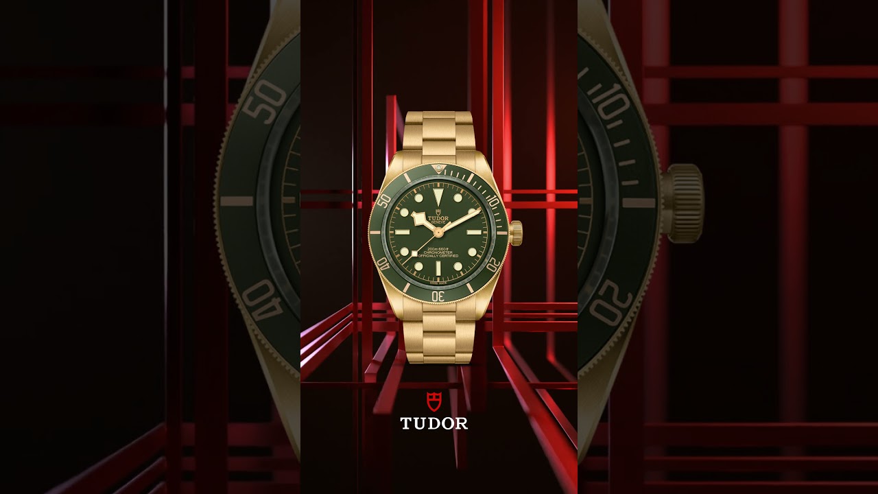 New Tudor Black Bay 58 18K (Tudor Gold Watch)