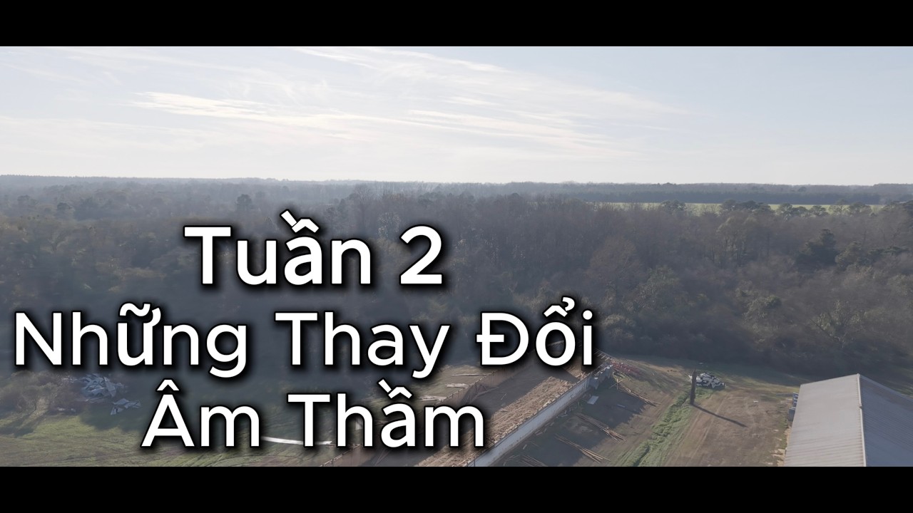 Phá Chuồng Gà Cũ – Tuần 2 | Những Thay Đổi Âm Thầm