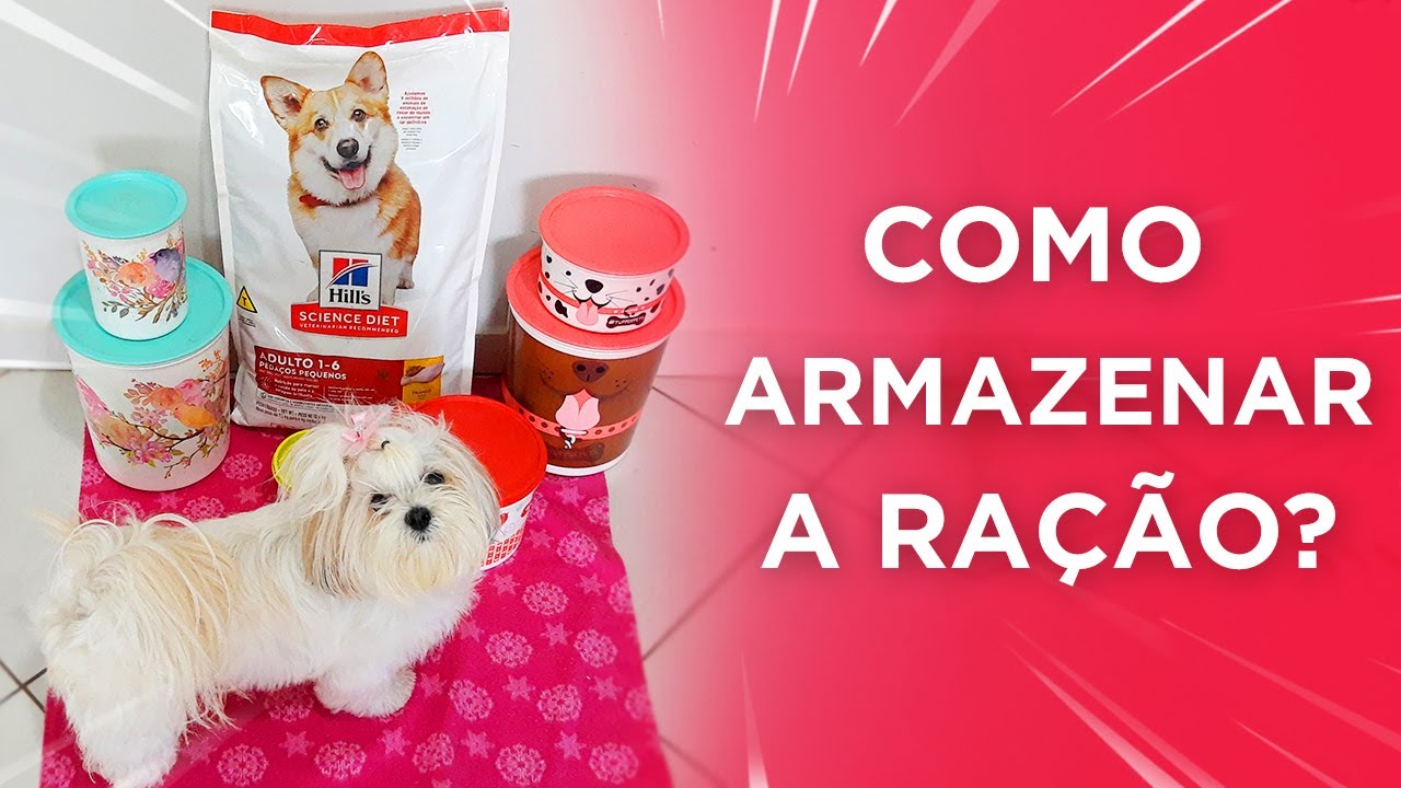 Como eu armazeno a RAÇÃO da minha Shih Tzu?