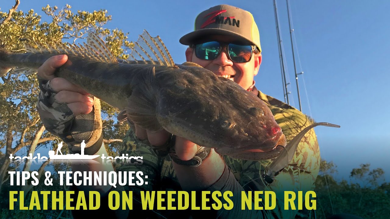 Flathead on Soft Plastics - Weedless Ned Rig / ZMan 3.75