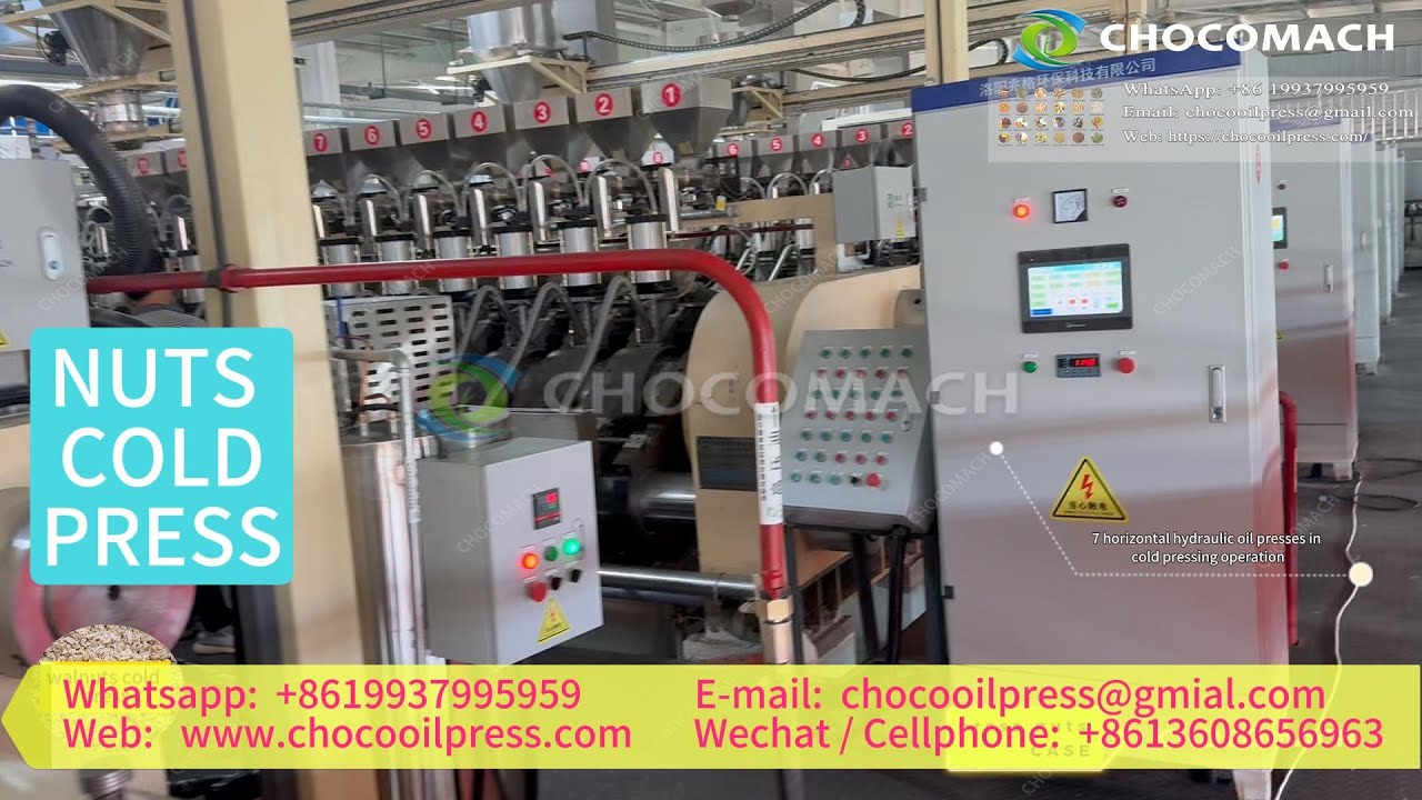 Walnuts Oil Production Customer Site|Nuts Oil Production Line|Nuts Oil Making|Oil Cold Press Machine