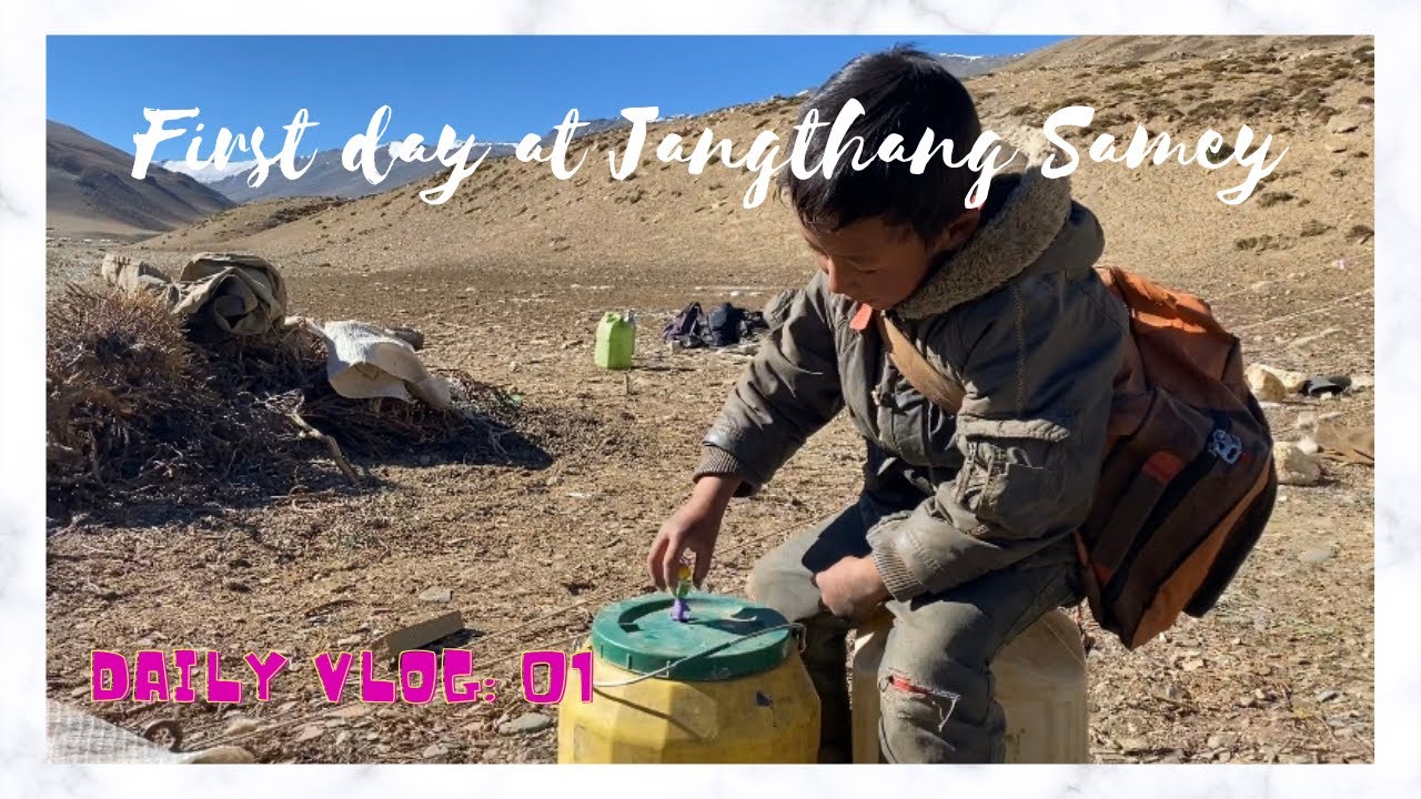 Daily vlog: 01 | First day at Jangthang | Tibetan nomadic life | Dolma Lhamo